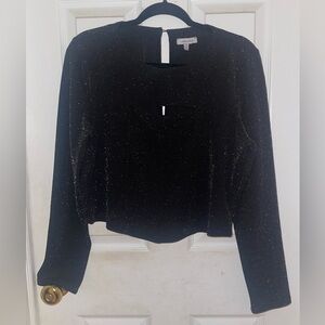 White Birch Black Glitter Crop Top 2xl